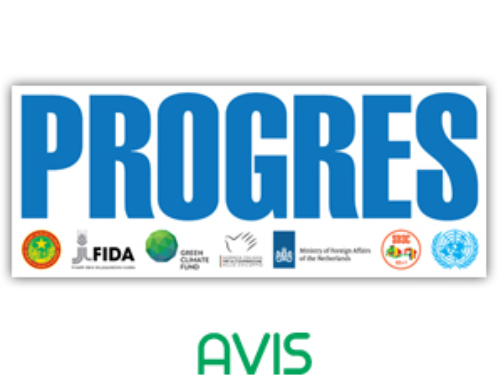 avis